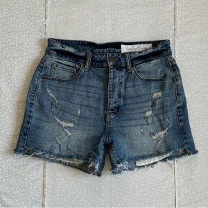 Treasure & Bond Foster Boyfriend High-Rise Shorts